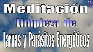 Meditación Limpieza de Larvas y Parásitos Energéticos [upl. by Liris]