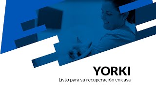 💙 YORKI ligamento cruzado craneal y luxación de la rótula medial [upl. by Anerak]