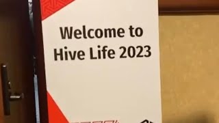 Hive Life 2023 What a Blast [upl. by Bilak]