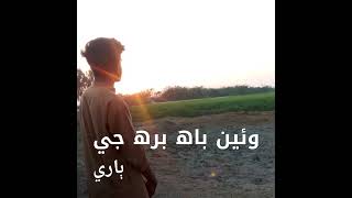 manzoor sakhirani Sindhi WhatsApp status manzoor sakhirani new Album best Sindhi songs [upl. by Kieryt]