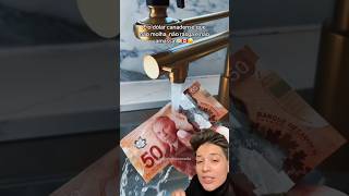 Kanada doları dayanıklılık testi dollar canada [upl. by Caresse522]