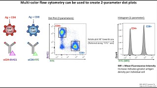 Lecture 7b Flow Cytometry [upl. by Bar331]