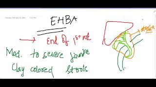 extrahepatic biliary atresia  Pediatrics [upl. by Loux]