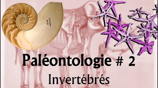 Paléontologie 2 Invertébrés [upl. by Blount]