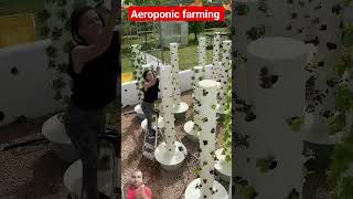 Aeroponic vertical farming 🌱 aeroponics towergarden verticalfarming support garden ngo shorts [upl. by Uhile]