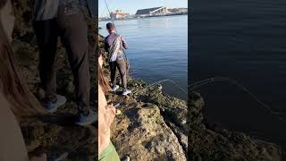 Algo de lo que nos dejó el fenómeno de las palometas en Quequen necochea fishing pescando [upl. by Sotnas]