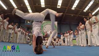 Anga Capoeira Poder Feminino [upl. by Etyak642]