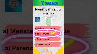 Parenchyma  Plant tissues  Tissues  Class 9 Science  shorts [upl. by Charil]