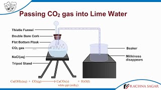 Passing Carbon dioxide Gas into Lime Water [upl. by Raffaj]