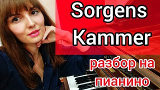 Sorgens Kammer Dimmu Borgir РАЗБОР на ПИАНИНОУроки фортепиано для взрослых [upl. by Rosenzweig]