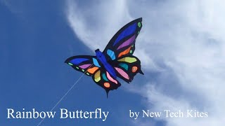 Beautiful Rainbow Butterfly kite [upl. by Naltiak669]