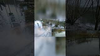 S0302 Draining a large puddle in a parking lot in Germany shorts [upl. by Macdermot]