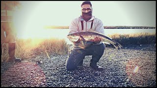 Pesca de Robalos en Rio Chubut sector del puente quotEl Elsaquot  Rawson  Chubut  Argentina [upl. by Nyvrem142]