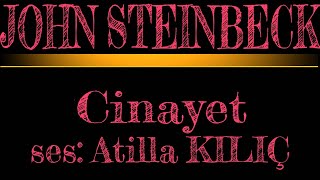 Cinayet  John STEINBECK  ses Atilla KILIÇ [upl. by Ecirtaed393]