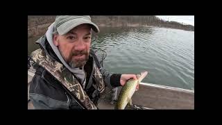 How to cook Pickerel or Pike [upl. by Ramled]