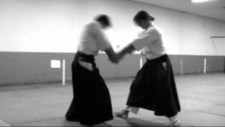 Ogawa Ryu Aikijujutsu Training in Brazil  II  2011 [upl. by Elahcim]