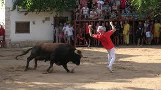 ▶😍 IMPONENTES Y ESPECTACULARES TOROS BRAVOS  VALFERMOSO DE TAJUÑA 2022 [upl. by Mert]