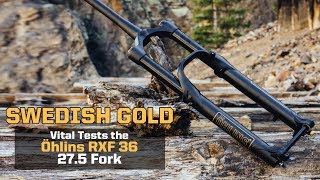 Swedish Gold Vital Rides the Öhlins RXF 36 275 Fork [upl. by Snej600]