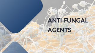 Antifungal agents pharmacology Tamil [upl. by Harret791]