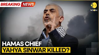 BREAKING IDF Probing If Its Troops Killed Hamas Leader Yahya Sinwar In Gaza  WION [upl. by Stanislaw529]