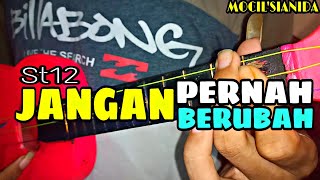 ST12  JANGAN PERNAH BERUBAH COVER KENTRUNG BY MS [upl. by Nedry]