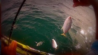 Xereletes e Lulas em Barra de Guaratiba  Pesca com Caiaque  Kayak Fishing  Leogafanha [upl. by Beaulieu]