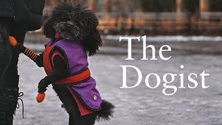 The Dogist [upl. by Noxas]