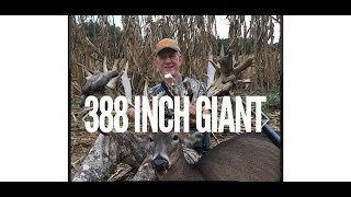 388 inch non typical whitetail buck [upl. by Surtimed]