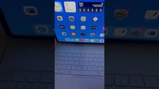 iPad Pro Review [upl. by Nnaoj]