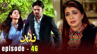 Nand Episode 46  Minal Khan amp Shehroz Sabzwari  Top Pakistani Drama [upl. by Oicapot]