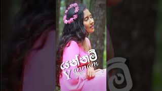 යන්නම් Yannam  Paramee Dileka  Music video trailer [upl. by Aennyl]