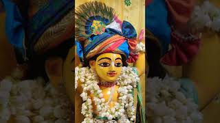 Sri Krishna Chaitanya Prabhu Daya Karo more by Rasaraj Krishna Dasa [upl. by Edecrem]