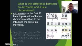 Autosomes V Sex Chromosomes  Mr H [upl. by Oicinoid]