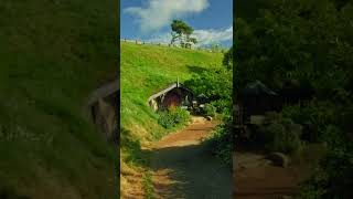 Hobbition Path  Relaxing Walk 🌳 shorts [upl. by Amerak886]