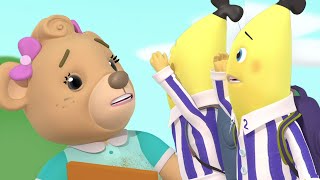 Amy Wants To Leave Cuddlestown  Bananas in Pyjamas Season 1  Full Episodes  Bananas In Pyjamas [upl. by Ezmeralda]