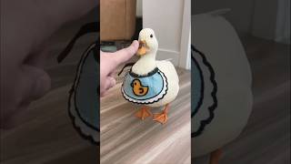 🔴 Pet Ducks in the Pool  Mochi amp Yoshi  Pets amp Animalsshorts [upl. by Hgielyk]