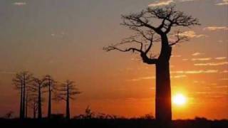 Baobab GouyeguiSeckasystemewmv [upl. by Lenroc]