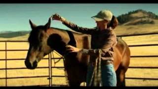 Fundamentals of Horsemanship  The halter [upl. by Rehm]