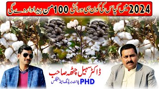 Which variety of cotton will yield up to 100 man in 2024  cotton best varieties in Pakistan [upl. by Maxine]