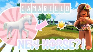 🐴NEW CAMARILLO HORSE🎀UPDATE REVIEW🤍 Roblox Horse Valley [upl. by Ahtnamas374]