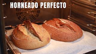 El horneado PERFECTO en horno de casa [upl. by Sandro]