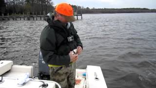 Nanticoke River White perch March 2012 [upl. by Aihsinat]