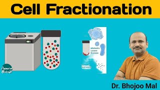 Cell Fractionation  Class 11 Biology  by Dr Bhojoo Mal [upl. by Coop]