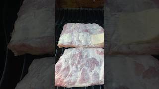 Basting Ribs with white bbq sauce aka Alabama white sauce shortsviral shortsfeed [upl. by Spiro987]