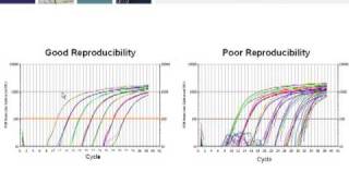 Key Steps for Generating RealTime PCR Data that Conforms to MIQE Guidelines Part 3 of 4 [upl. by Cobby904]