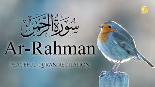 Surah ArRahman سورة الرحمن  This Voice will TOUCH your HEART إن شاء الله  Zikrullah TV [upl. by Haynes]