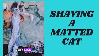 Shaving A Matted Cat [upl. by Eelsew973]