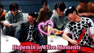 JihopeHopemin Vlive Moments  Underrated Hopemin [upl. by Hanschen315]