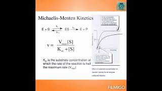 Michaelis menten equation enzyme kinetics for full video subscribe The Academia [upl. by Aderfla]