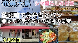 【奄美大島】重野玉里店、タコライス、龍郷湾眺めて芦徳の海へ行く日常🤗奄美 2024年9月22日 [upl. by Suiravad]